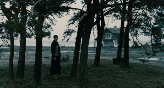 Guðrún Gísladóttir in Andrei Tarkovsky's THE SACRIFICE.