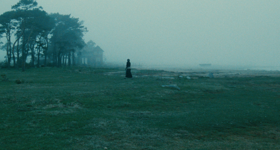 Andrei Tarkovsky's final film, THE SACRIFICE.