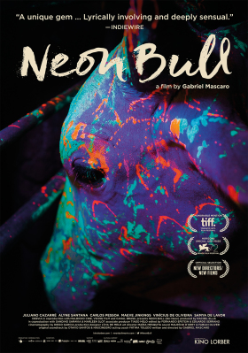 Neon Bull 