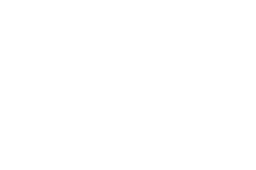 NY Film Festival