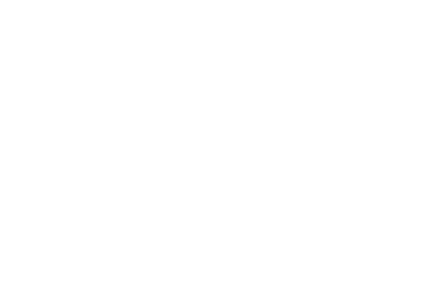 Sundance Next Winner