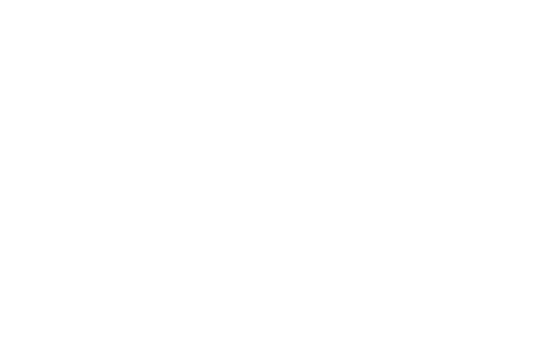 Official Selection Toronto International Film Festival